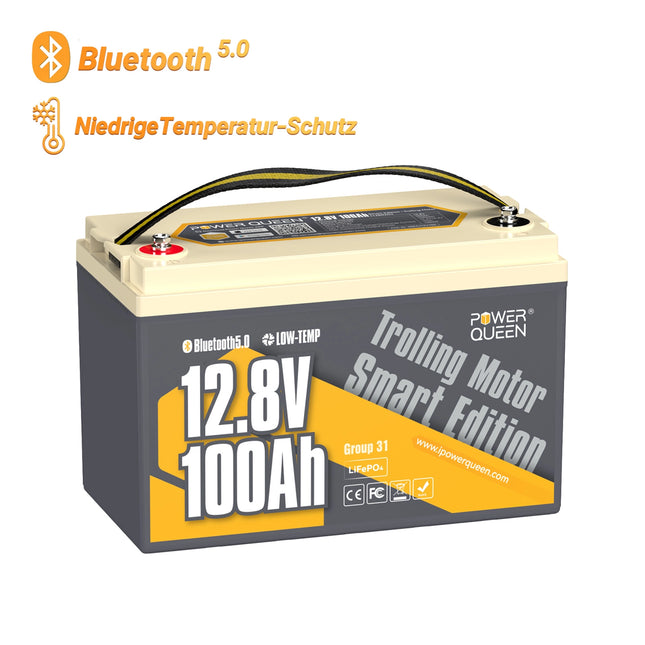 Power Queen LiFePO4 12V 100Ah slimme elektrische motorbatterij voor lage temperatuur