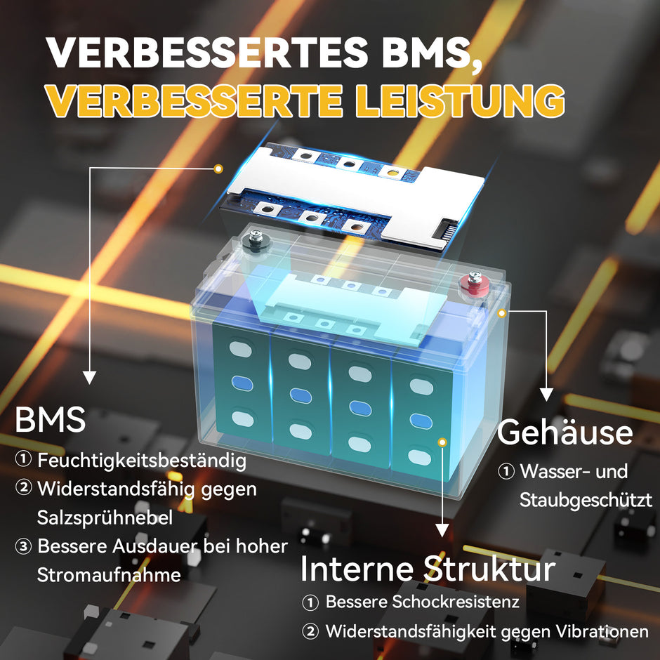 Batteriemanagementsystem (BMS) für Lithium-Eisenphosphat-Batterien