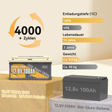 【0% VAT】Power Queen LiFePO4 12V 100Ah 190H Smart Motorhome Battery