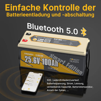 【0% IVA】Batteria solare intelligente Power Queen LiFePO4 24V 100Ah con Bluetooth